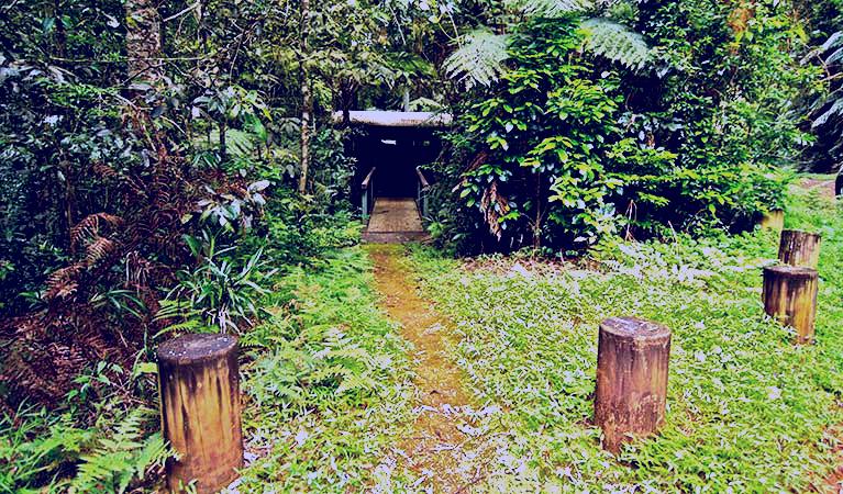 SubjectCoach | Brindle Creek picnic area