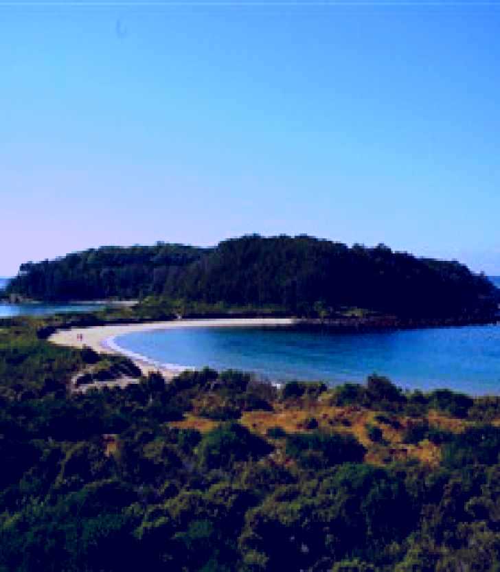 SubjectCoach | Broulee Island Walk