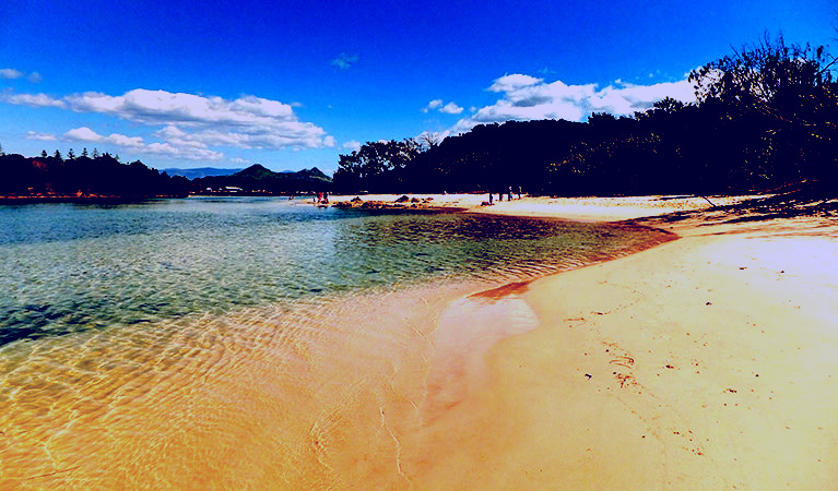 SubjectCoach | Brunswick Heads Nature Reserve