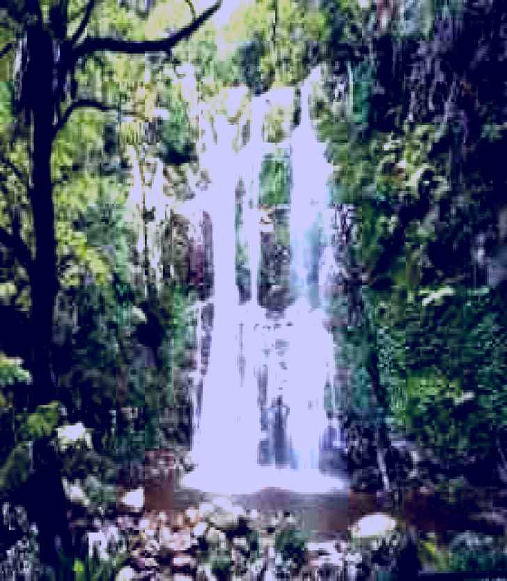 SubjectCoach | Budderoo National Park - The Falls Walk