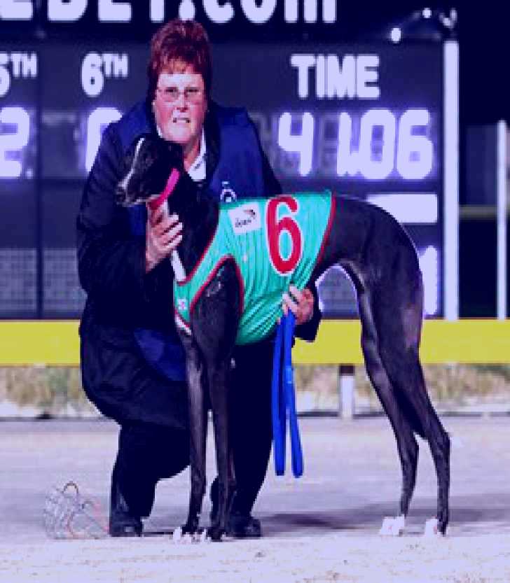 SubjectCoach | Bulli Greyhound Racing Club