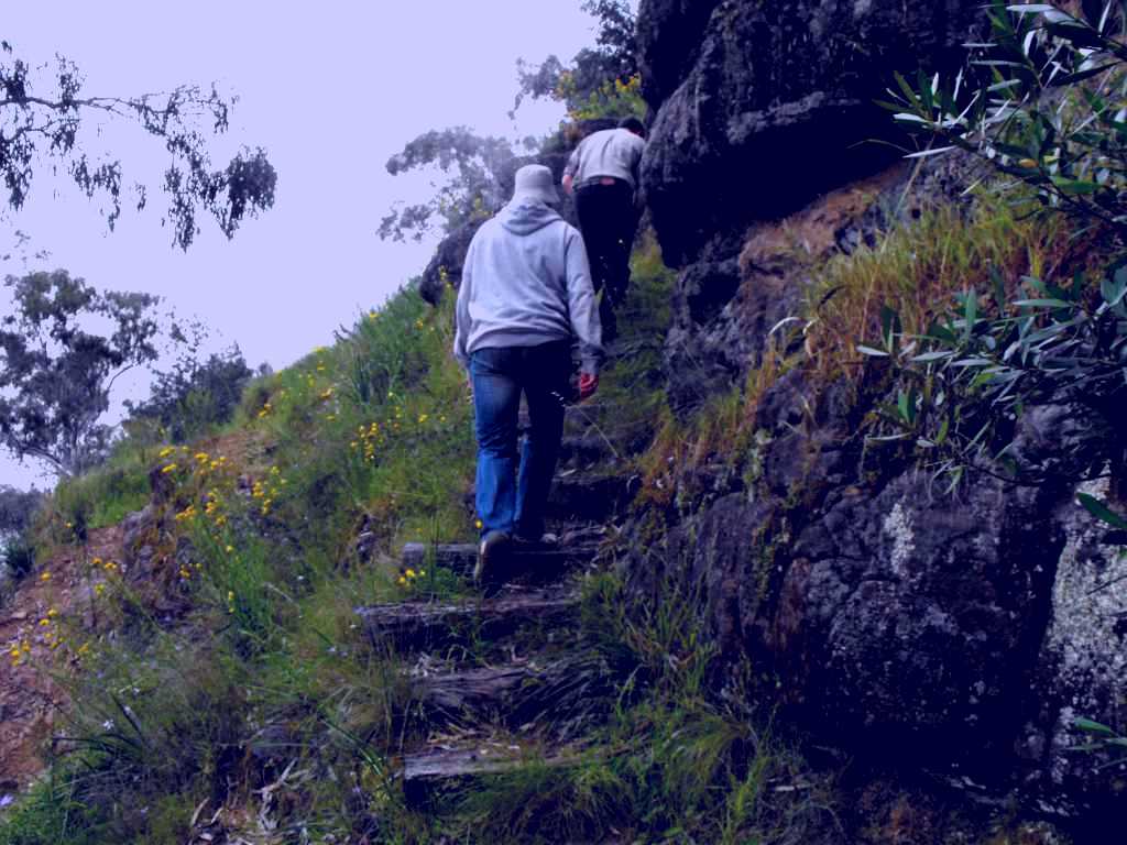 SubjectCoach | Bundidgerry Walking Track