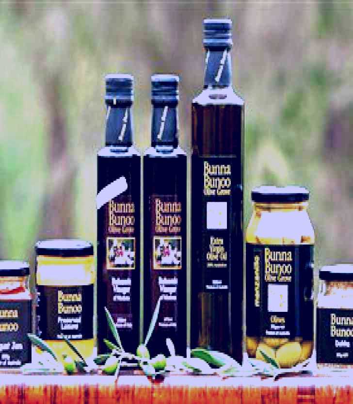 SubjectCoach | Bunna Bunoo Olive Grove