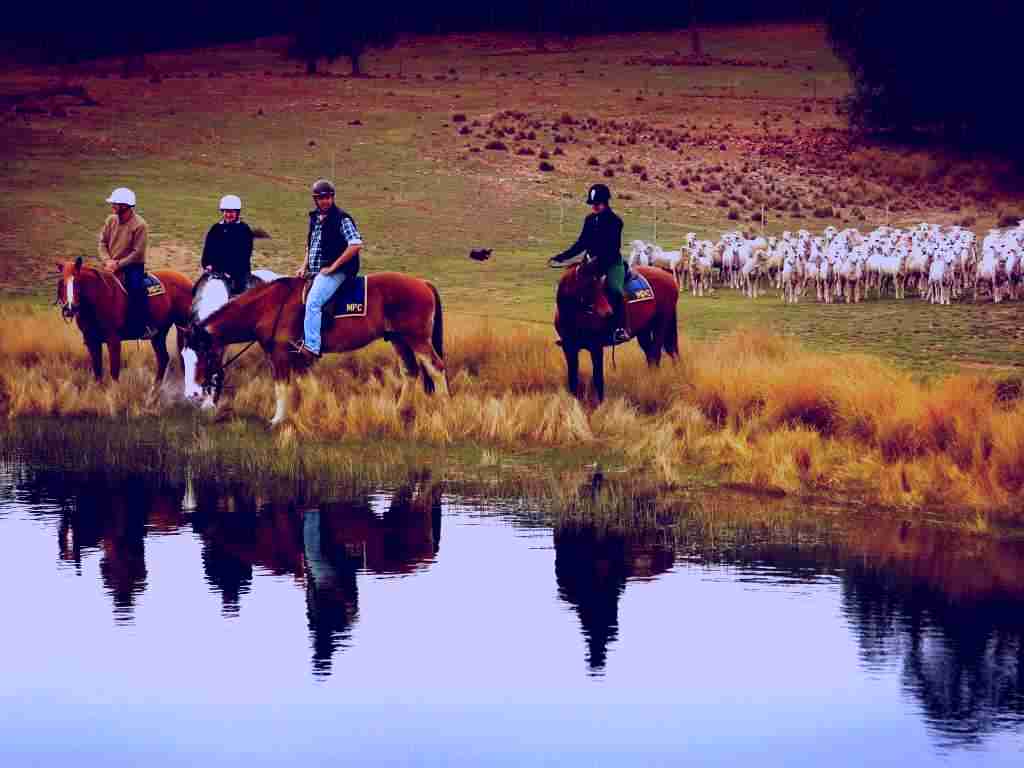 SubjectCoach | Burnelee Excursions on Horseback