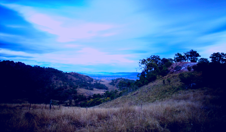 SubjectCoach | Burning Mountain Nature Reserve