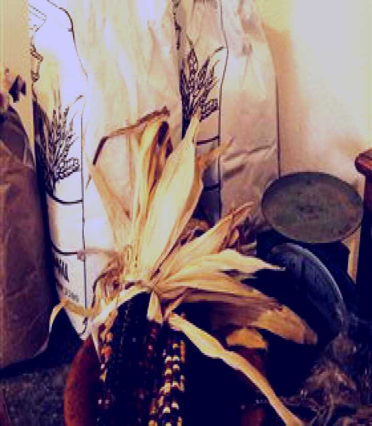 SubjectCoach | Buronga Organics - Coota