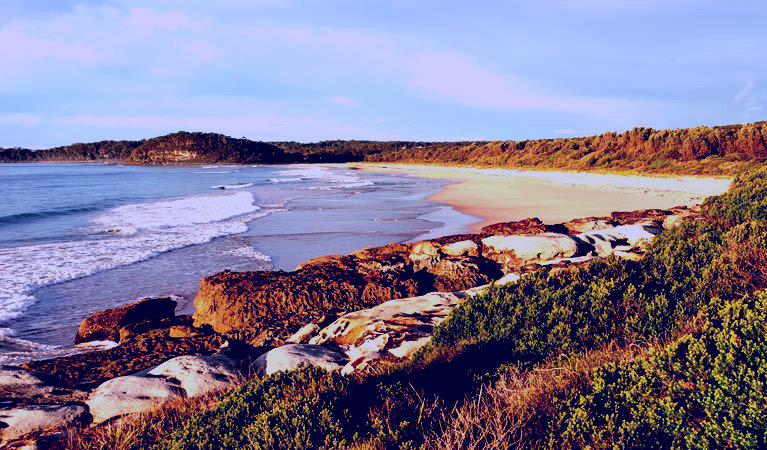 SubjectCoach | Burrawang track - Conjola Beach to Buckleys Point