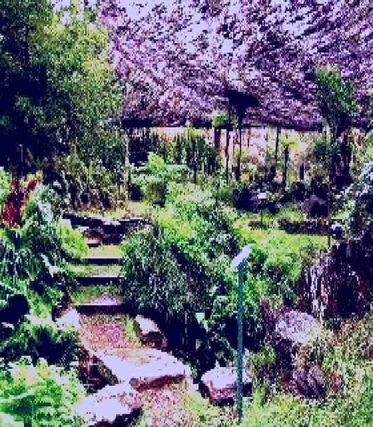 SubjectCoach | Burrendong Botanic Garden and Arboretum
