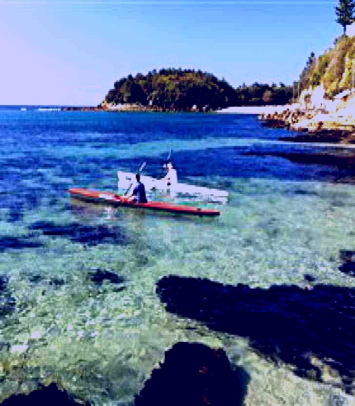 SubjectCoach | Cabbage Tree Bay