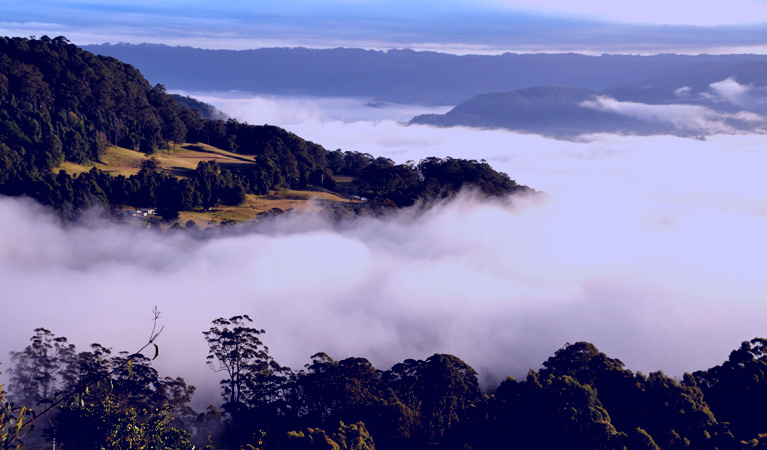 SubjectCoach | Cambewarra Range Nature Reserve