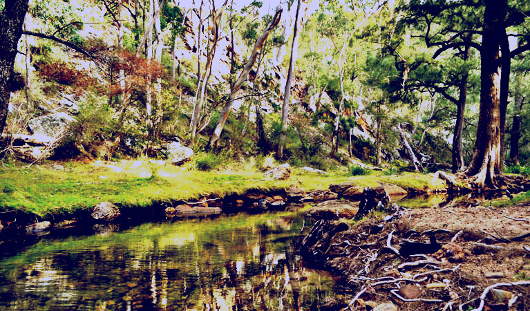 SubjectCoach | Capertee National Park