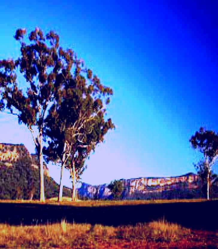 SubjectCoach | Capertee Valley Bird Trail
