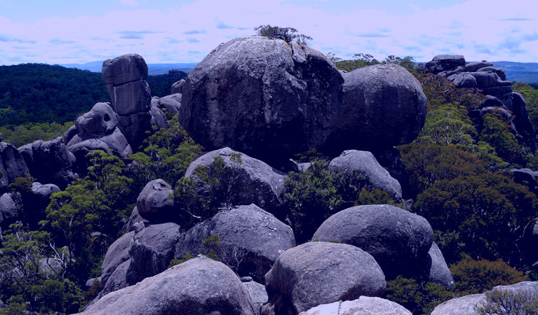 SubjectCoach | Cathedral Rock National Park