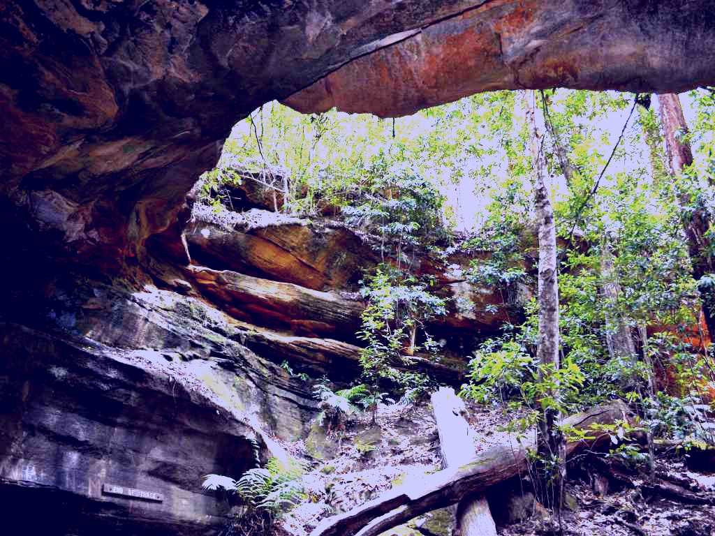SubjectCoach | Cave Creek Walking Track