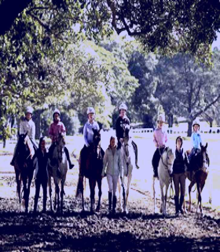 SubjectCoach | Centennial Parklands Equestrian Centre