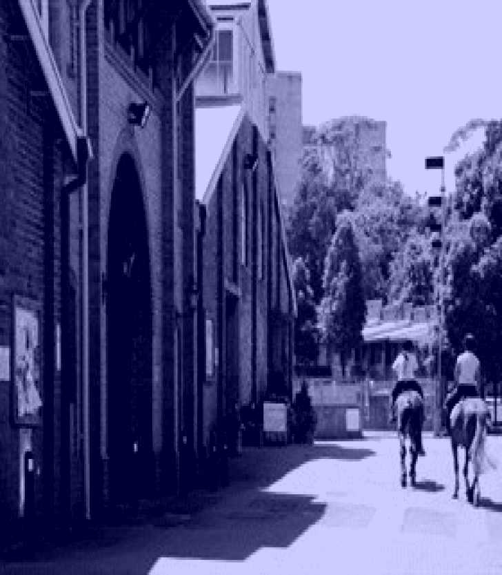 SubjectCoach | Centennial Stables