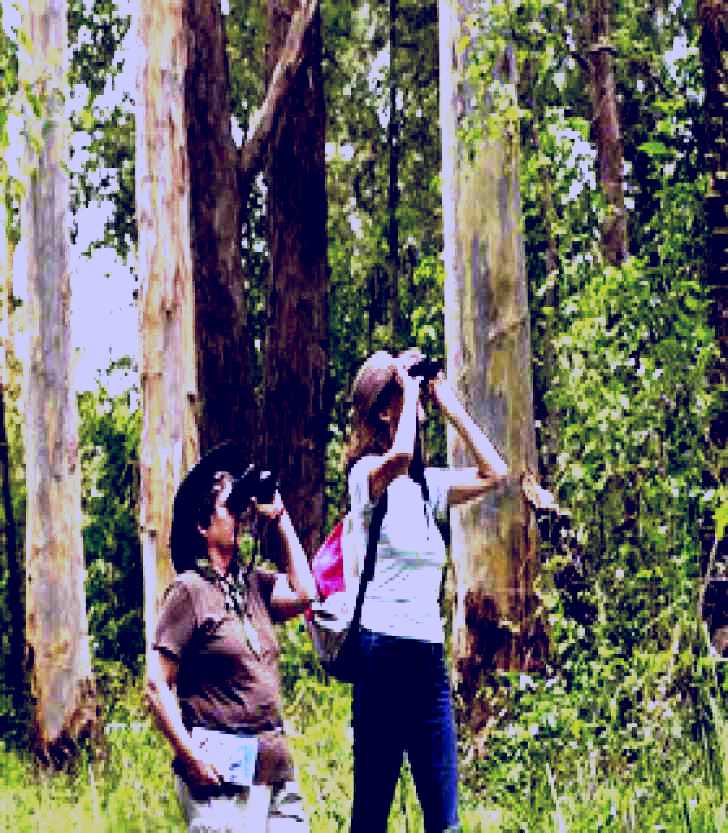 SubjectCoach | Chichester State Forest