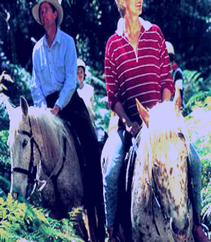 SubjectCoach | Clarendon Forest Retreat Horse Riding