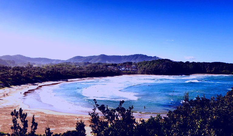 SubjectCoach | Coffs Coast Regional Park