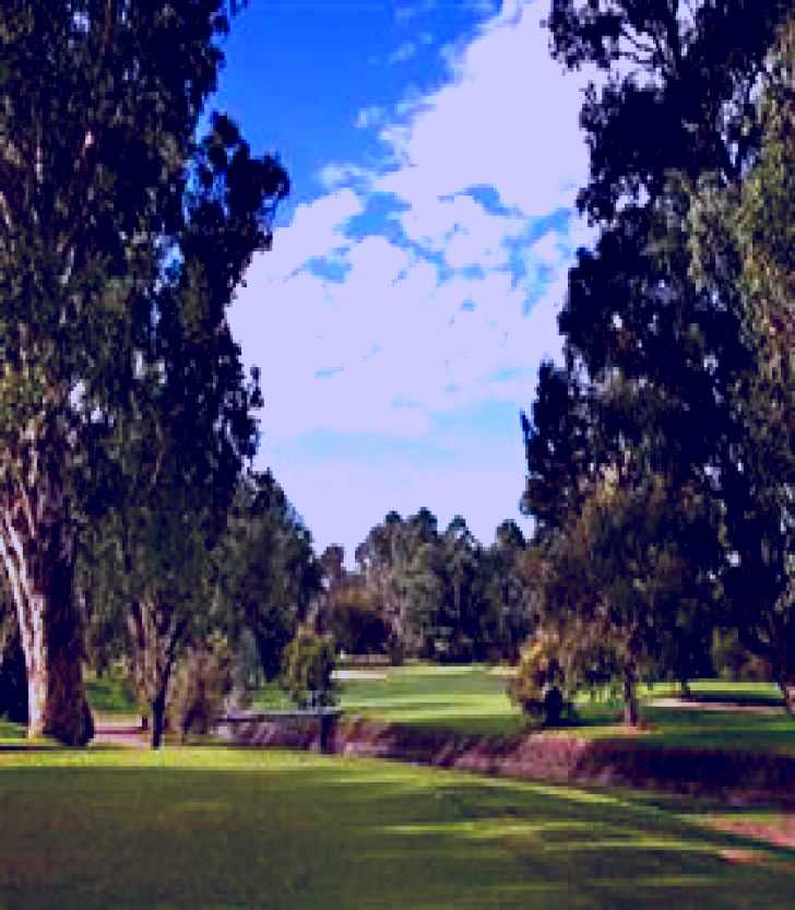 SubjectCoach | Commercial Golf Course