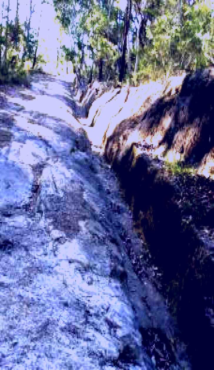 SubjectCoach | Convict Trail Project Bucketty Site