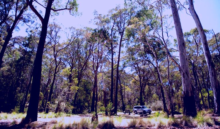 SubjectCoach | Coolah Tops National Park