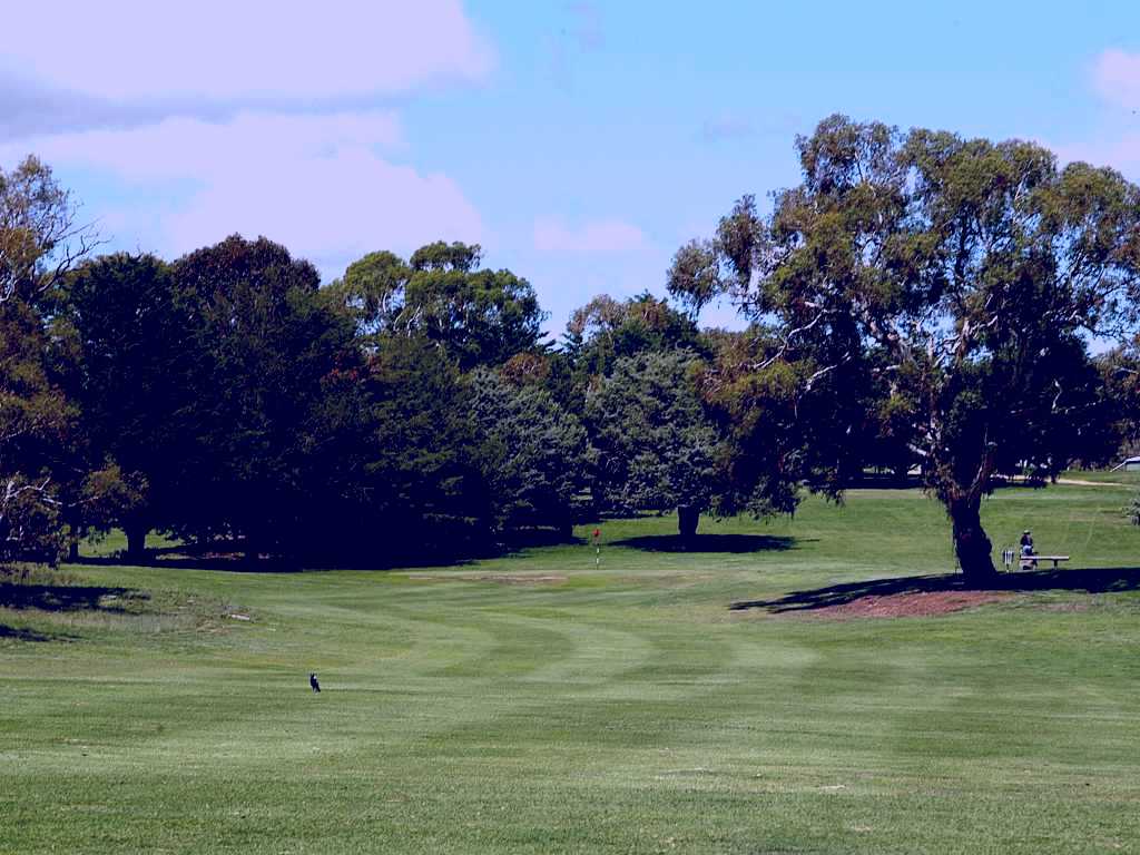 SubjectCoach | Cooma Golf Club