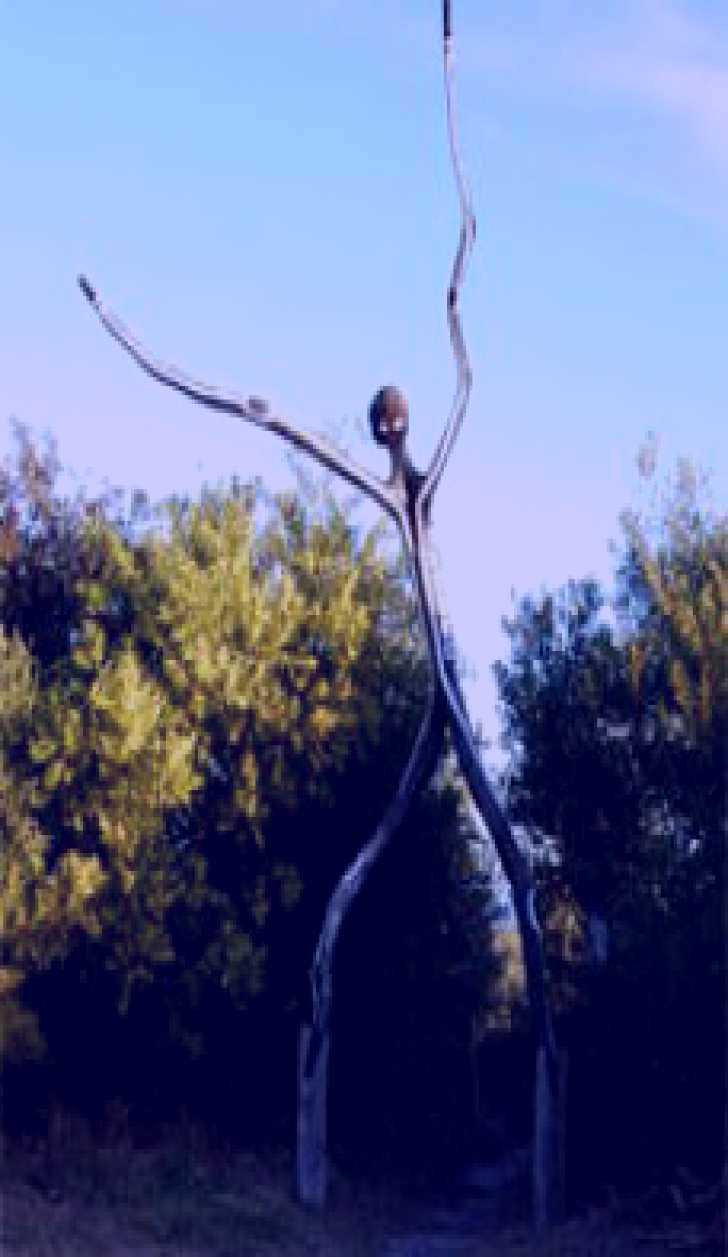 SubjectCoach | Coomee Nulunga Cultural Trail