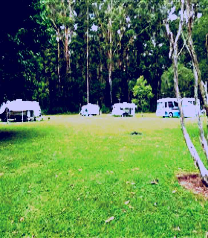 SubjectCoach | Coopernook Forest Park