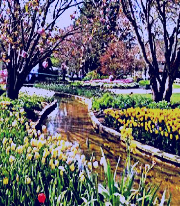 SubjectCoach | Corbett Gardens