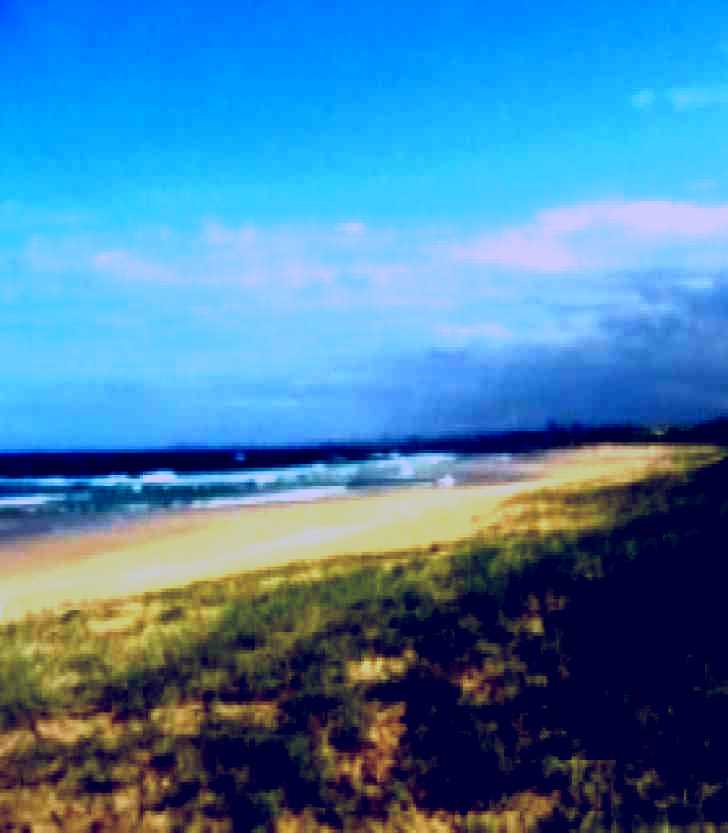 SubjectCoach | Corrimal Beach