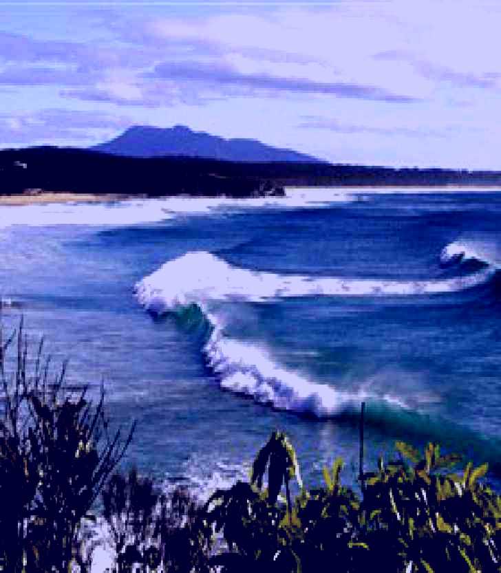SubjectCoach | Cuttagee Beach and Lake