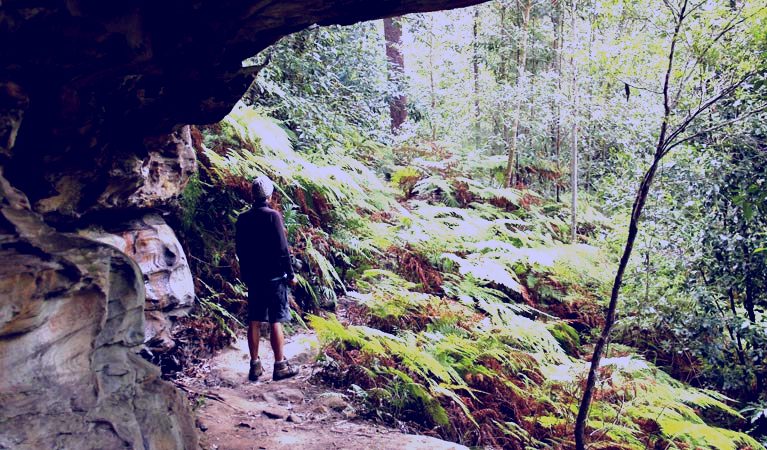 SubjectCoach | Dharug National Park