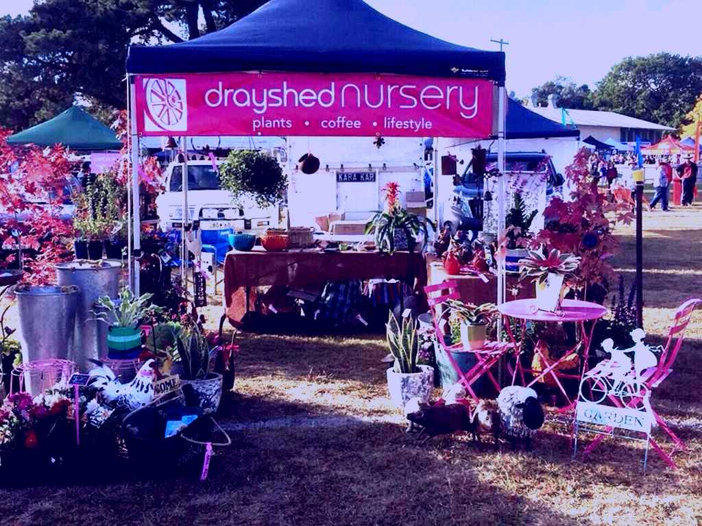 SubjectCoach | Drayshed Nursery