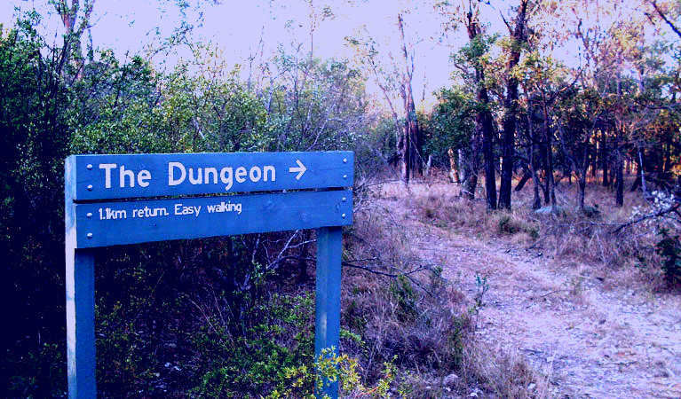 SubjectCoach | Dungeon lookout