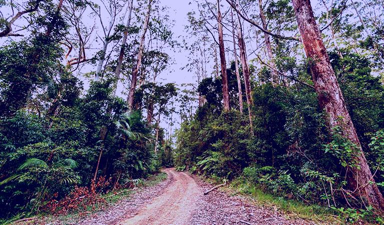 SubjectCoach | End Peak walking track