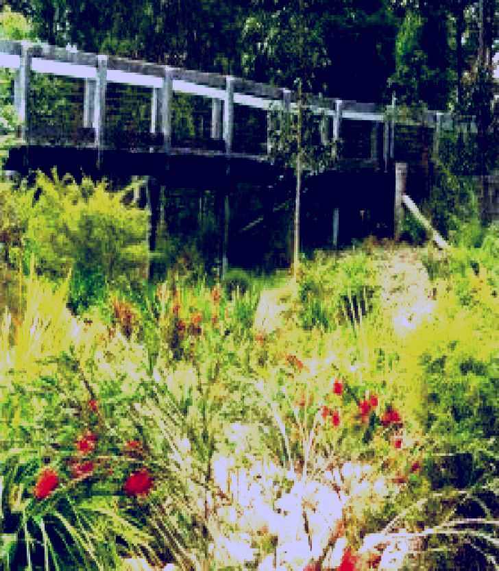 SubjectCoach | Eurobodalla Botanic Gardens