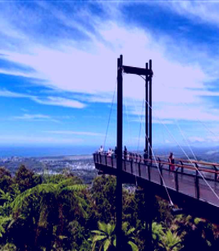 SubjectCoach | Forest Sky Pier