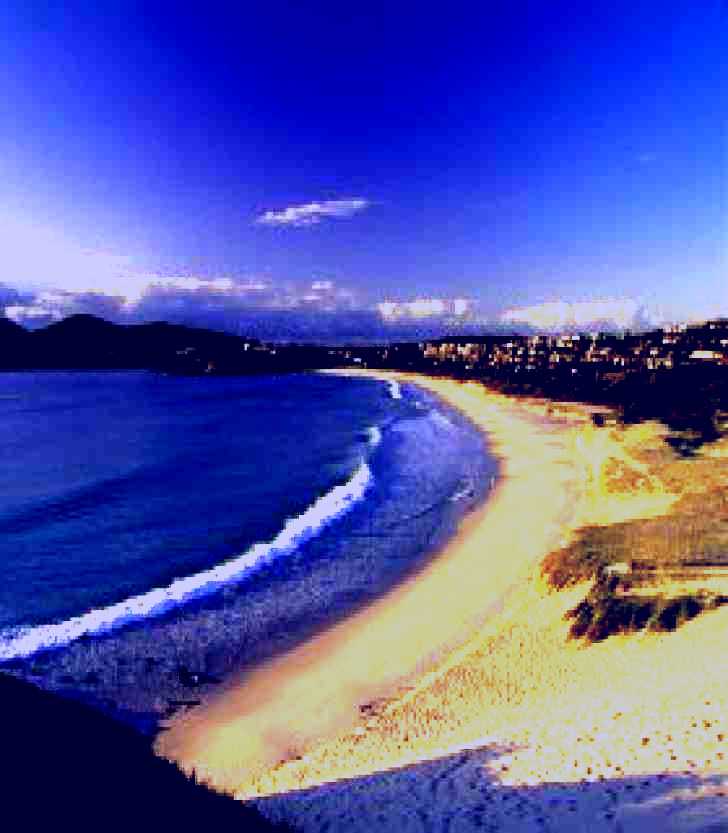 SubjectCoach | Forster Town Beach