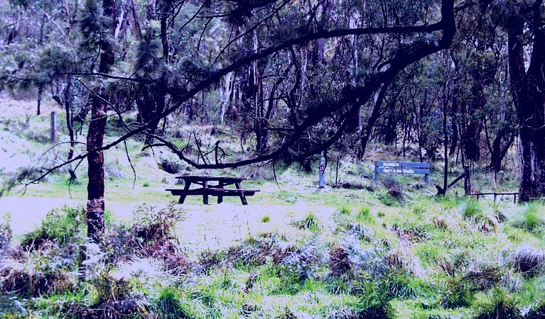 SubjectCoach | Fourth Crossing picnic area