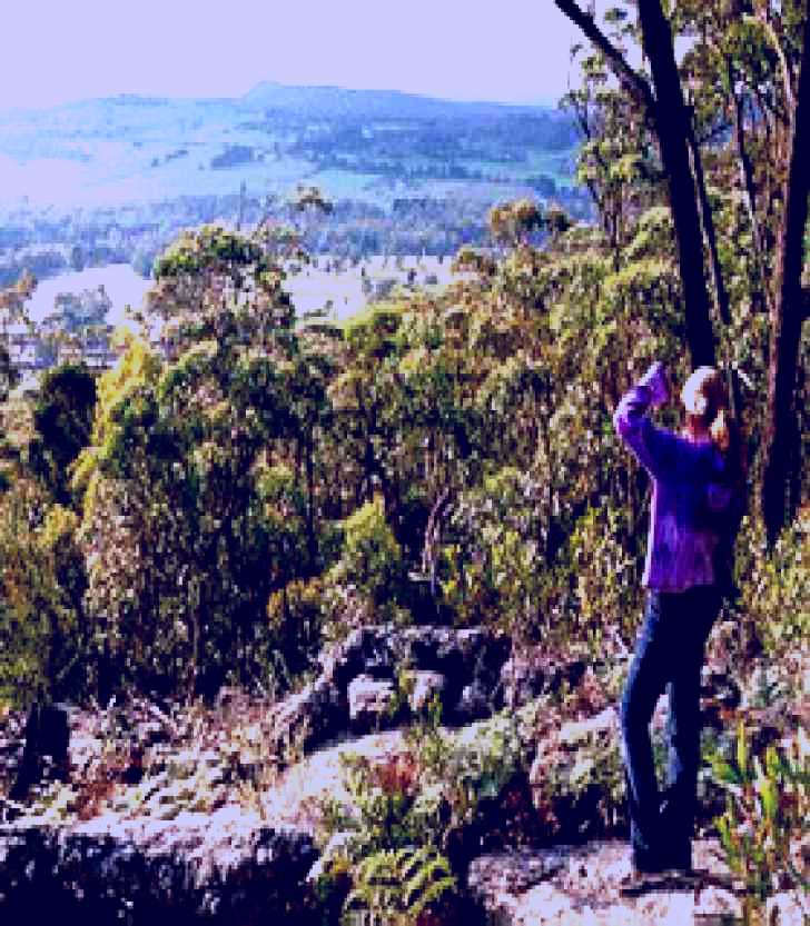 SubjectCoach | Gibbergunyah Reserve