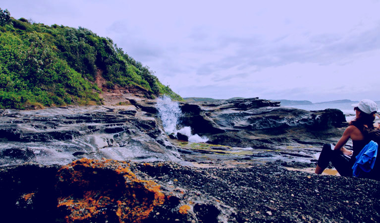 SubjectCoach | Glenrock State Conservation Area