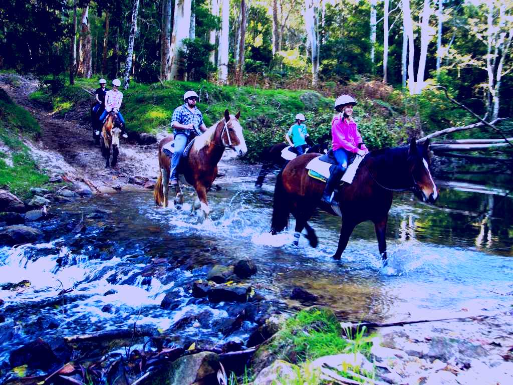 SubjectCoach | Glenworth Valley Horse Riding