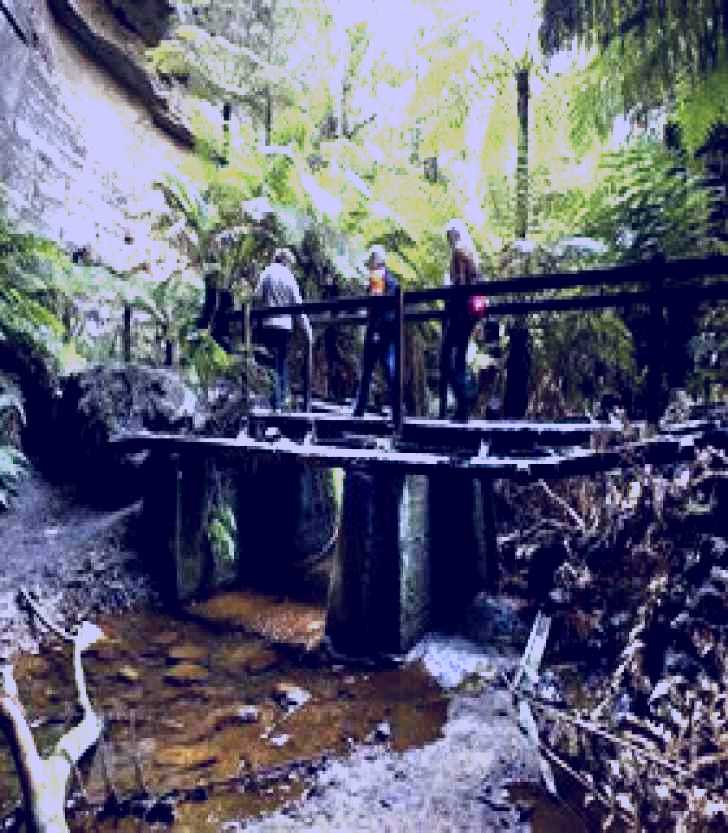 SubjectCoach | Glow Worm Tunnel