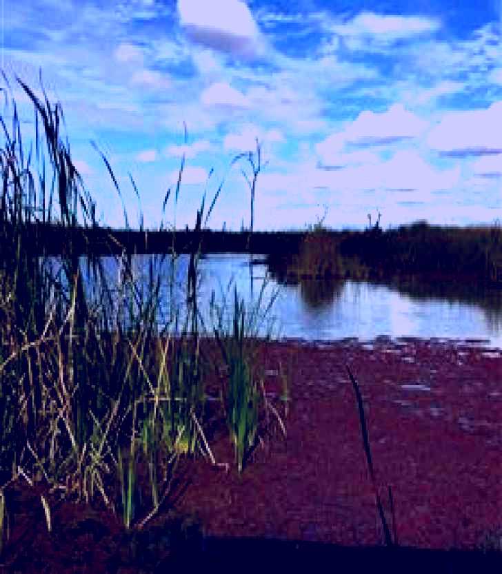 SubjectCoach | Gwydir Wetlands