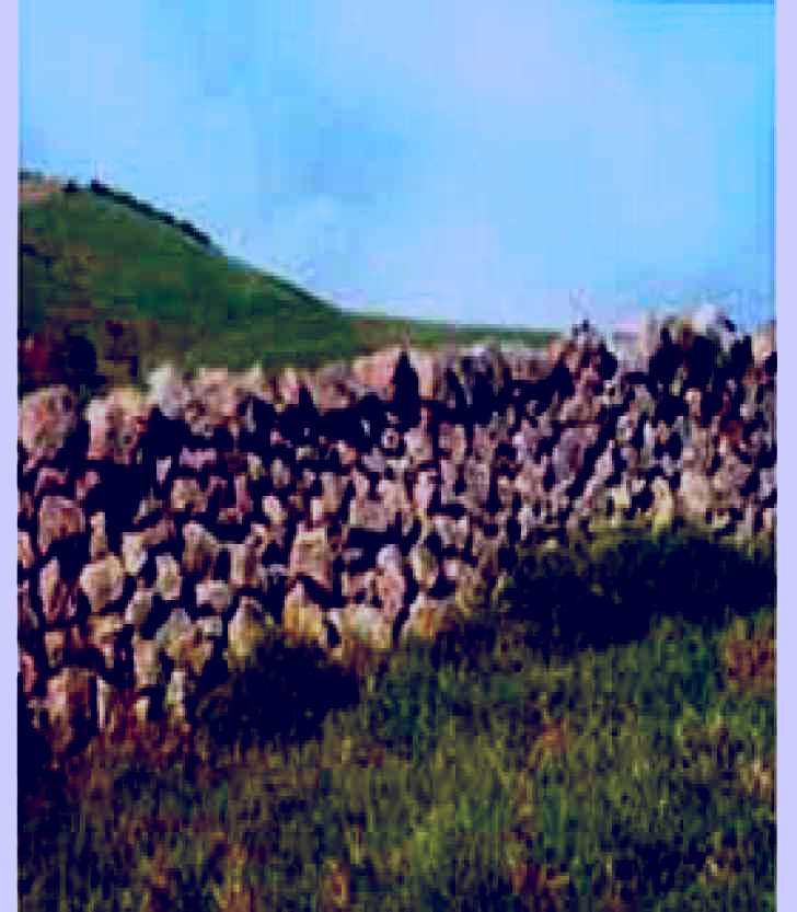 SubjectCoach | Historic Dry Stone Walls