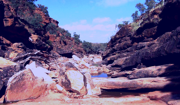 SubjectCoach | Homestead Gorge trail
