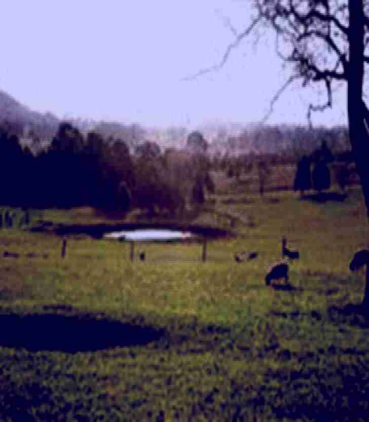 SubjectCoach | Honeycomb Valley Farm