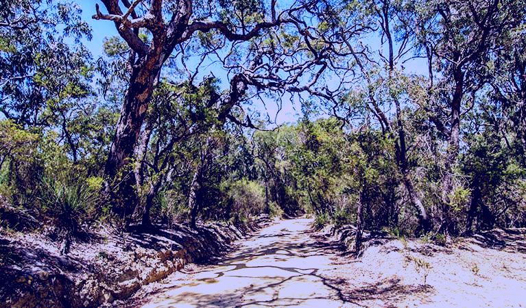 SubjectCoach | Howes trail