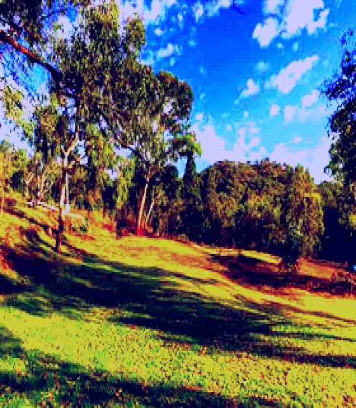 SubjectCoach | Inland Waters Holiday Parks Mookerawa Waters